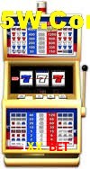 Security Systems 1XX Bet